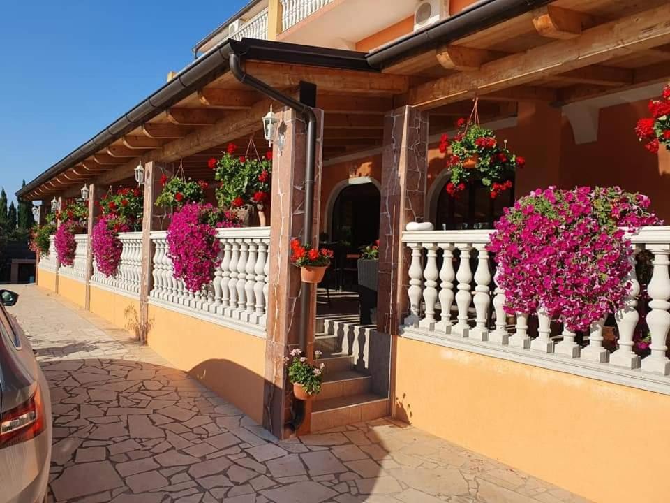Villa Nikolina Medulin Exterior photo